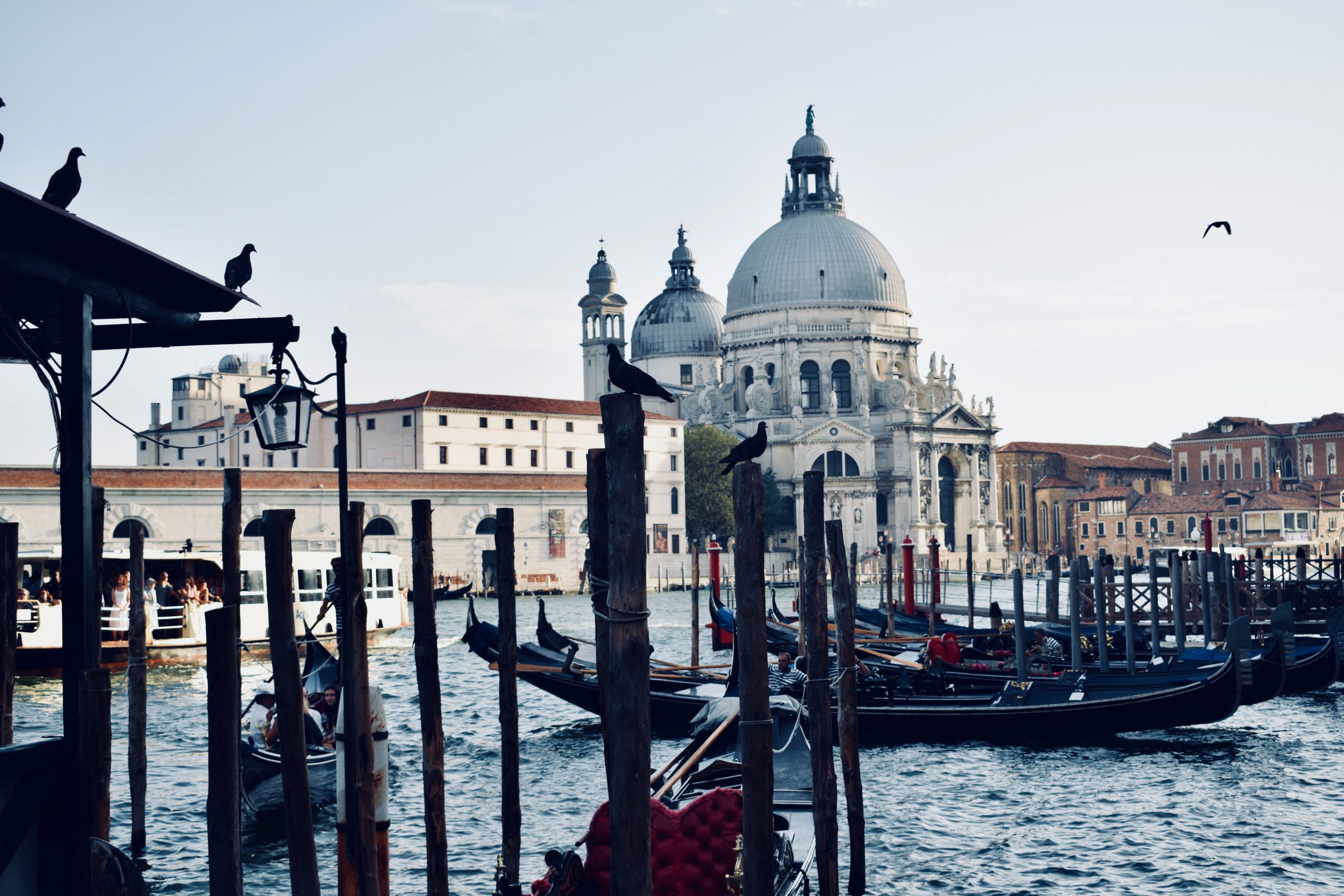 La bandiera del Veneto