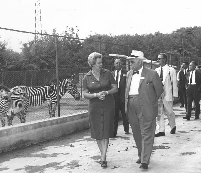 La seconda direttrice dello Zoo di Napoli, la dott.ssa Marie Claire Wenner, che passeggia per i viali del parco insieme a George Mottershead, fondatore dello zoo di Chester, personaggio di rilievo mondiale nel panorama dei giardini zoologici. Grazie a lei la struttura ha vissuto anni di splendore ed è diventato polo di ricerche scientifiche di grande fama in tutta Europa